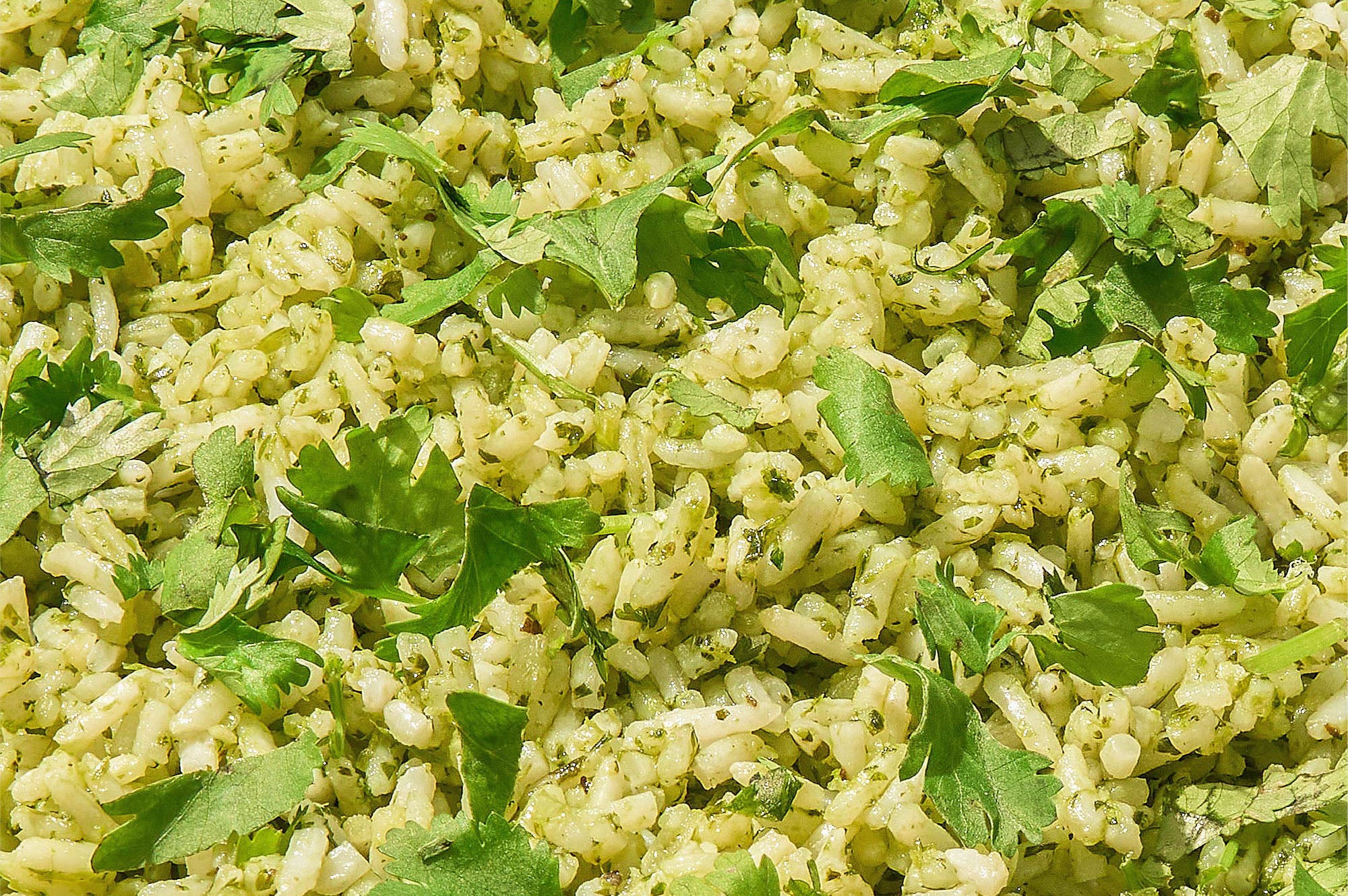 Cilantro Rice - Image 2