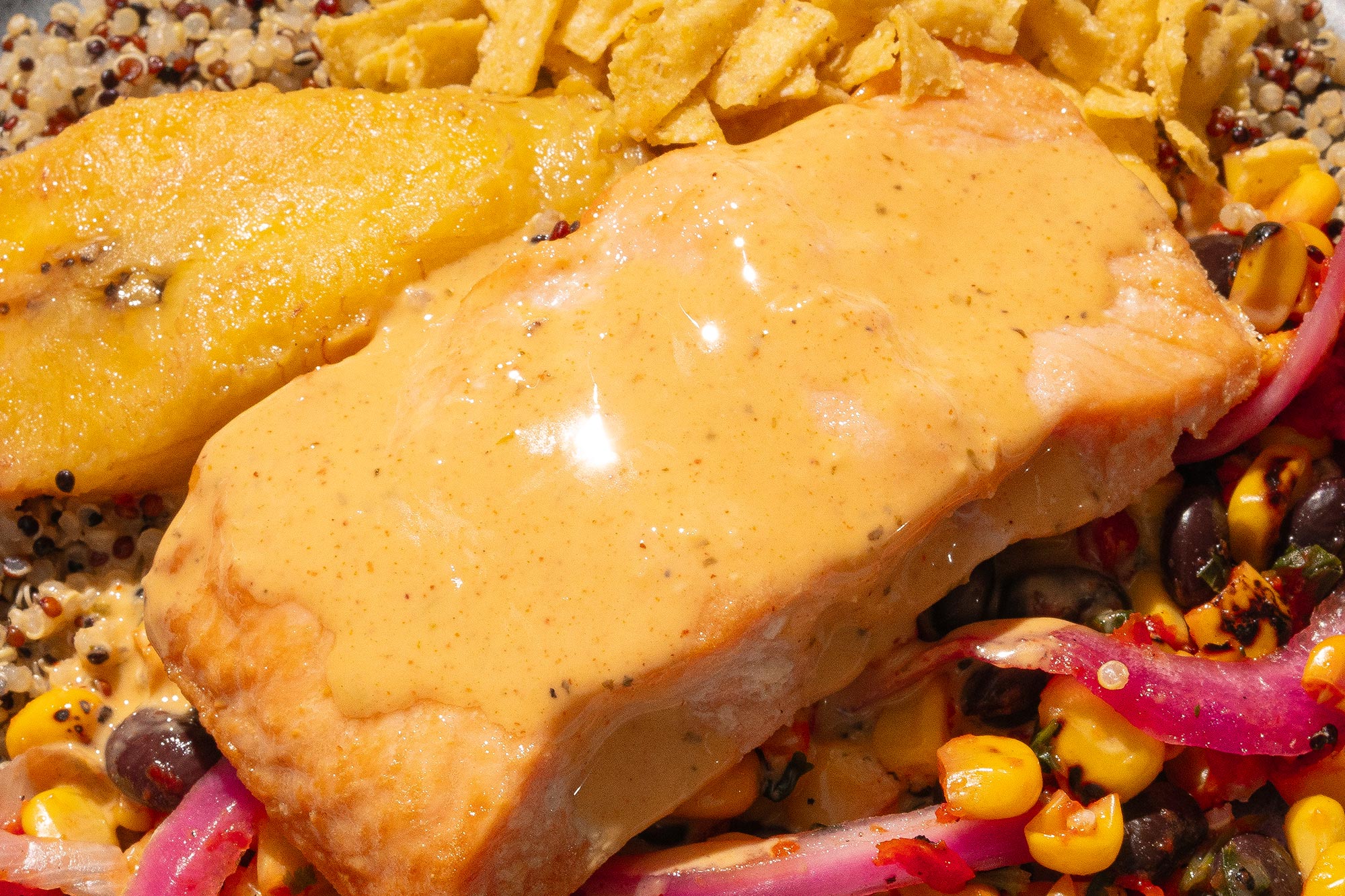 Yucatan Salmon - Image 2